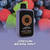 拋棄式 AONE VAPE