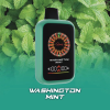 拋棄式 AONE VAPE