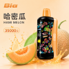 拋棄式 BIA