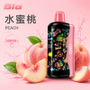 拋棄式 BIA