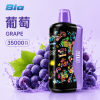 拋棄式 BIA