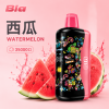 拋棄式 BIA
