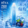 拋棄式 DIYA