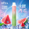拋棄式 DIYA
