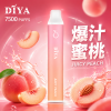 拋棄式 DIYA