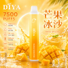 拋棄式 DIYA