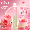 拋棄式 DIYA