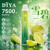 拋棄式 DIYA