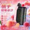 拋棄式 GEEK BAR