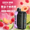 拋棄式 GEEK BAR
