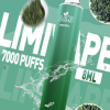 拋棄式 LIMI