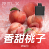拋棄式 RELX X-BOX